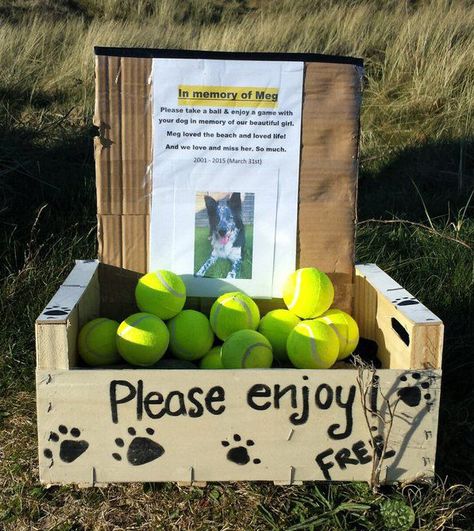 Pet Memorial Ideas Dogs, Pink Dogwood Tree, Pet Memorial Garden, Pet Memory, Memorial Ideas, Pet Cemetery, Tennis Balls, Beloved Dog, Loving Memory