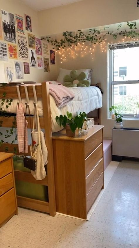 cozy dorm room  aesthetic cozy dorm room  aesthetic vintage cozy dorm room  aesthetic green cozy dorm room  aesthetic pink cozy dorm room  aesthetic blue cozy dorm room  aesthetic black Dorm Room Aesthetic Green, Pink And Green Dorm Room Ideas, College Dorm Room Ideas Green, Green Dorm Room Aesthetic, College Dorm Room Ideas Cozy, Pink And Green Dorm Room, Dorm Room Ideas Green, Dorm Room Green, Green Dorm Room Ideas