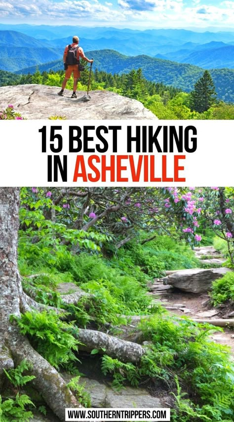 15 Best Hiking in Asheville Best Hikes In Asheville Nc, Hikes Near Asheville Nc, Asheville Hiking Outfit, Hiking In Asheville Nc, Nc Hiking Trails, What To Wear In Asheville Nc Summer, Asheville Nc Things To Do In, Asheville Nc Hiking, North Carolina Hikes