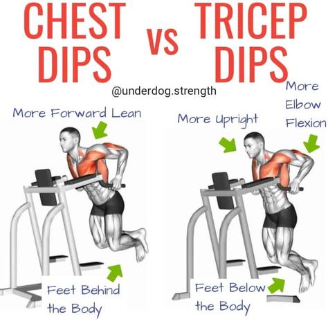 Chest Dips, Workout Chest, Dip Workout, Chest Workout At Home, Cardio For Fat Loss, Best Chest Workout, Full Body Workout Routine, Workout Splits, Tricep Dips