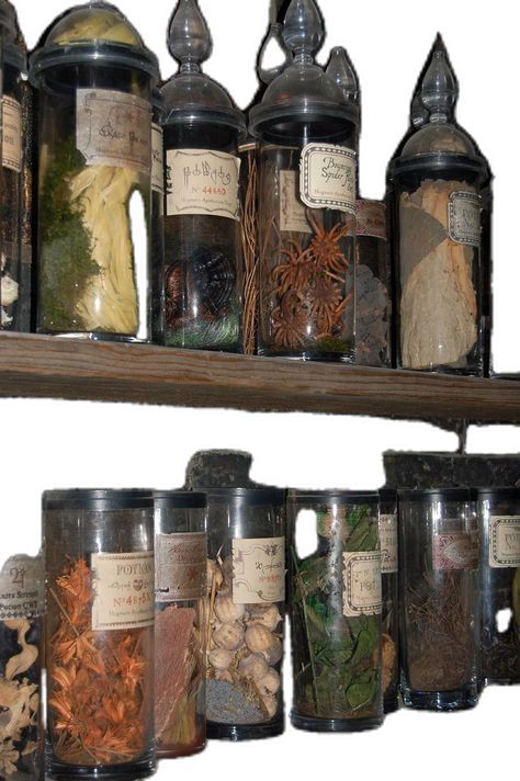 Witch Trinkets, Wizard Room Aesthetic, Potions Classroom, Dragon Bedroom, Witches Apothecary, Twilight Forest, Apothecary Shop, Midnight Summer, Apothecary Decor