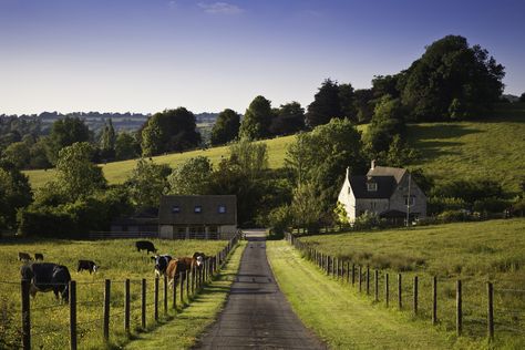 Rural Area | Rural areas have higher self-employment rates, says Rural Economy ... Farm Gate, Engagement Photos Country, Rural Living, City People, Rural Area, Urban Living, London Eye, Urban Life, English Countryside