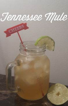 Whiskey Mule Recipe, Whiskey Mule, Holiday Drinks Alcohol Christmas, Southern Cocktail, Gin Drink Recipes, Holiday Drinks Alcohol, Jack Daniel's Tennessee Whiskey, Moscow Mule Recipe, Recipe For Teens