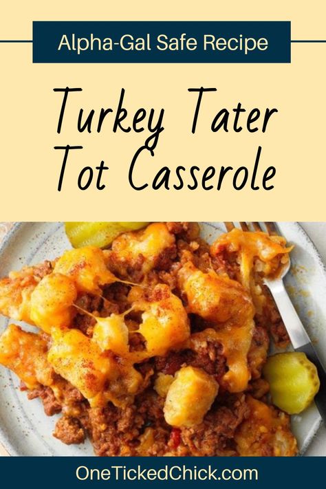 Tater tot casserole is delicious...but the ground beef and cheese can cause an allergic reaction if you have Alpha-Gal Syndrome (mammal allergy). Not fun! So, I modified my favorite tater tot casserole recipe to be completely Alpha-Gal safe and mammal-free. With a few substitutions, it tastes almost the same! Check out the recipe on my blog :) #recipe #mammalfree Turkey Tater Tot Casserole, Tater Tot Casserole Recipe, Alpha Gal, 4th Of July Recipes, Tater Tot Casserole Recipes, Tot Casserole, Tater Tot Casserole, Veggie Tray, Ground Turkey Recipes