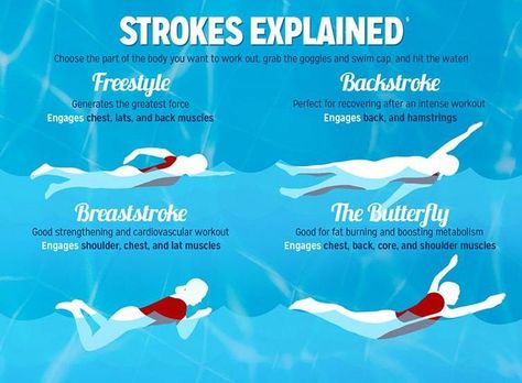 Different Swimming Strokes, Swimming Drills, Swim Technique, Swimming Motivation, Swimming Strokes, Swimmers Life, How To Swim, Pool Workout, Swim Coach