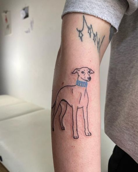 Color Dog Tattoo, Italian Greyhound Tattoo, Meg Tattoo, Unique Dog Tattoo Ideas, Greyhound Tattoo, Dog Tattoo Ideas, Tattoo Dog, Cute Tats, Phillip Island