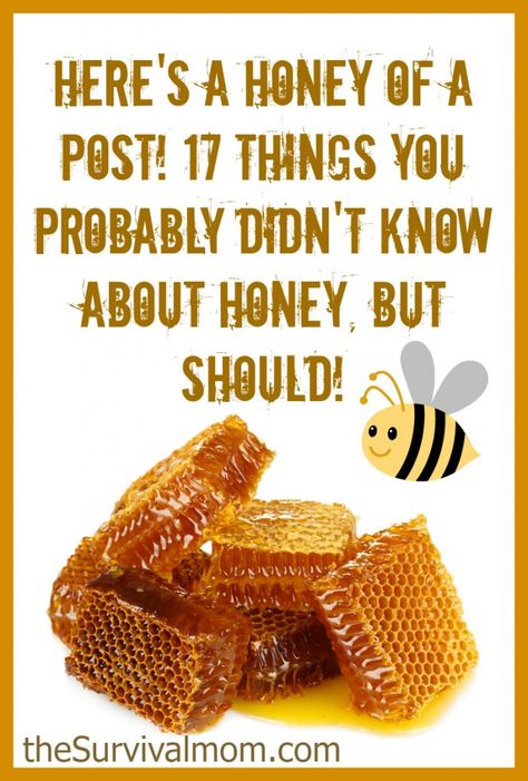 Honey Facts, Healthy Sweeteners, Raising Bees, Bee Keeper, Bee Friendly, Honey Recipes, Bees Knees, Save The Bees, Raw Honey