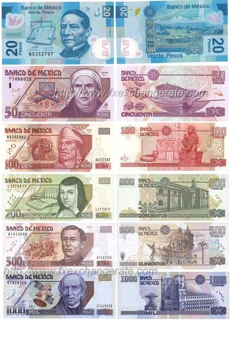 Mexican Peso(MXN) Currency Images Printable Play Money, Banknotes Design, Currency Design, Mexican Peso, Money Worksheets, Money Notes, Play Money, World Coins, Dramatic Play