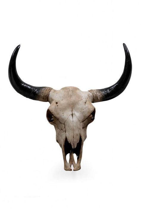 Skull Head Art, Bison Skull, Wall Nails, Animal Skeletons, Ram Skull, One Piece Tattoos, Head Art, Animal Skull, Faux Taxidermy