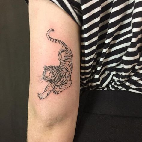 15+ Small Tiger Tattoo Designs and Ideas | PetPress Small Tiger Tattoo, Tiger Tattoo Designs, Tiger Tattoo Design, Inspiration Tattoos, Disney Tattoo, Initial Tattoo, Tiger Tiger, Mandala Tattoo Design, Best Sleeve Tattoos