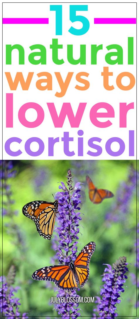 Cortisol Supplements, Cortisol Diet, Cortisol Reduction, Lower Cortisol, Lower Cortisol Levels, Reducing Cortisol Levels, High Cortisol, Autoimmune Disorder, Cortisol Levels