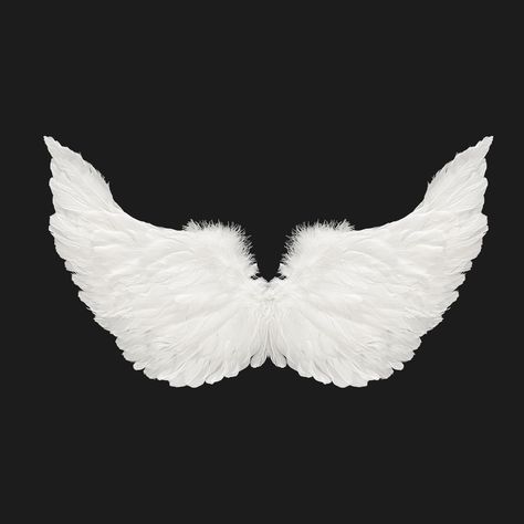 PRICES MAY VARY. 🎃Comfortable Wear Custom Angel Wings: These white angel wings are crafted from soft, natural feathers that are lightweight and gentle on the skin. The wings are bendable at the center for easy adjustment, providing a comfortable fit. Elastic straps keep the wings securely in place, making them ideal for long hours of wear during Halloween parties or cosplay events. 🎃Exquisitely Handmade with Superior Quality: Each pair of angel wings is meticulously handmade, with feathers sec Angel Wing Costume, Girls Angel Costume, Big Angel Wings, Angel Wings And Halo, Wings And Halo, Angel Wings Costume, Diy Wings, Costume For Girls, Feather Angel Wings