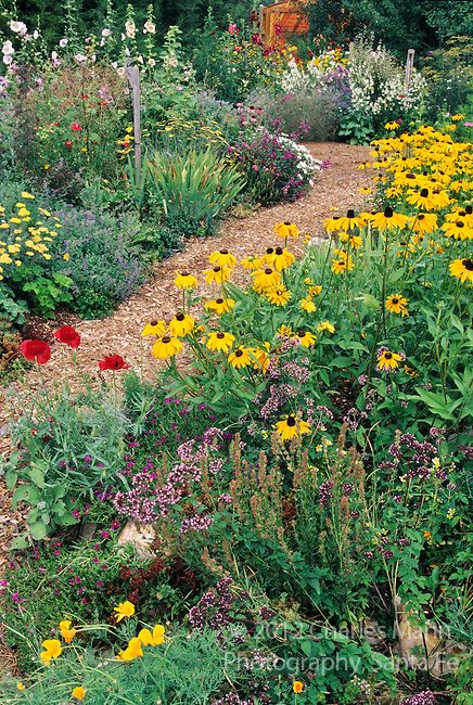 In the southwest andn Rocky Mountain areas, water wise landscape designs come in all colors and shapes and incorporate a wide range of both nativespecies as well as appropriate adapted plants, ranging from succulents and cacti to endemic penstemons and traditional perennials.  Laura and Time Spear have created a colorful perennial garden in their Colorado Springs compund. Colorado Landscaping, Colorado Gardening, Xeriscape Landscaping, Water Wise Landscaping, Drought Tolerant Garden, Easy Landscaping, Landscape Designs, Water Wise, Traditional Landscape