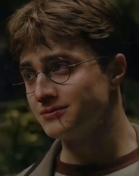 Harry Potter Handsome, Harry Potter