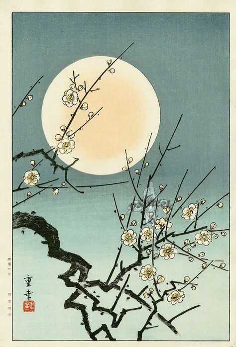 MOON BLOSSOM BY KAWASE HASUI. More know for his landscapes this simple work is also absolutly beautiful. He is a master at woodblock art!! #japanese #art #wood #block www.richard-neuman-artist.com Poster Grafico, Kawase Hasui, Japanese Woodcut, Japanese Art Prints, Japanese Artwork, Japanese Illustration, Japon Illustration, Art Japonais, Japanese Woodblock Printing