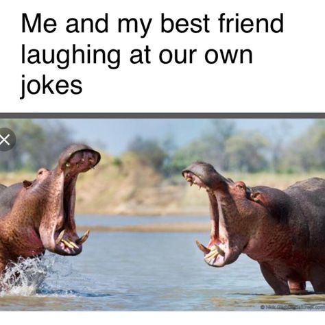 #besties #meme #relatable Best Friend Meme, Friendship Memes, Me And My Best Friend, Friend Jokes, Friend Memes, Best Friends Funny, Funny Animal Jokes, Crazy Funny Memes, Friends Are Like