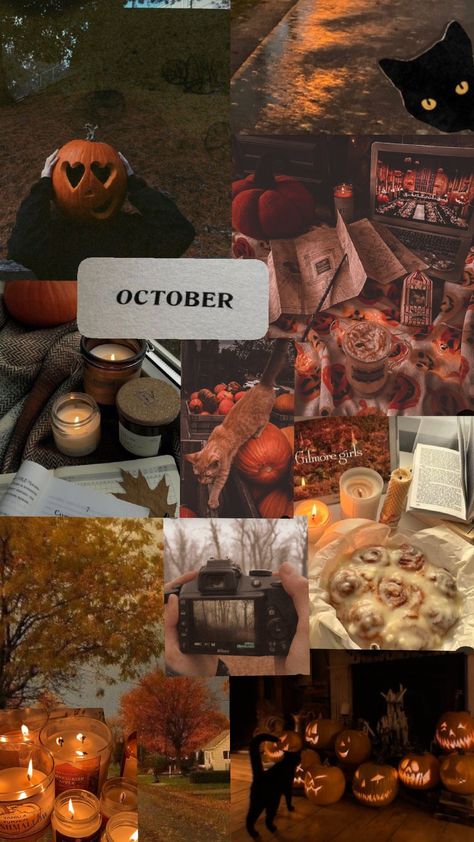 #months aesthetics #october #✨🫶🍁 October Aethestic, October Aesthetic Pictures, October Birthday Aesthetic, October Astethic, October Motivation, October Aesthetics, October Core, Autumn Motivation, October Goals