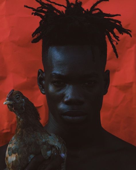 "OMENS". ⁠ "Chickens in dreams can often symbolize unusual and unexpected changes in waking life".⁠ Photographer: @douglascondzo⁠ Model : @messiasdeivs1⁠ - Proud To Be Me, Dark Skin Models, African Origins, Shop Photography, Artistic Space, Black Photography, World Photography, Photography Awards, Contemporary Photography