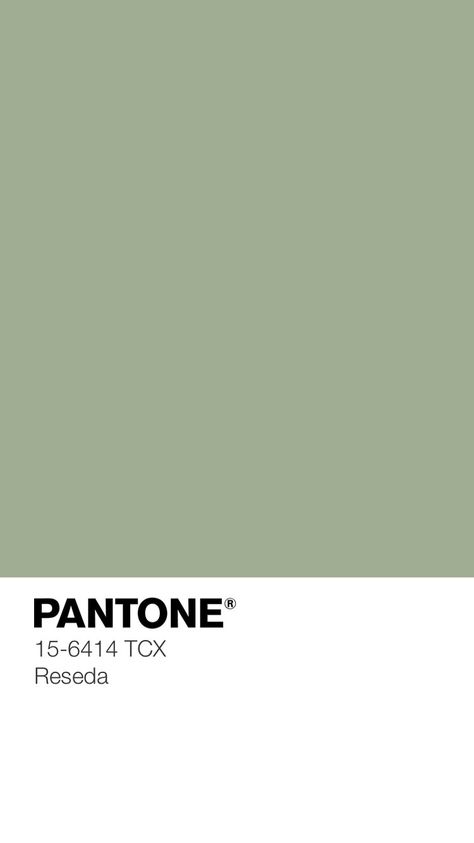 Unnoticeable Charm — Kid's Pattern Green Tones Palette, Shades Of Green Palette, Pantone Green Colors, Pantone Green Shades, Pantone Verde, Eucalyptus Color, Green Pantone, Pantone Green, Verde Vintage