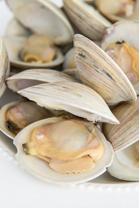 Clams On Grill, Cleaning Clams How To, Cooking Clams Recipes, How To Clean Clams Before Cooking, Clam Broth Recipes, Manila Clams Recipe, Steam Clams Recipe, How To Cook Clams In Shell, Cherry Stone Clams Recipes