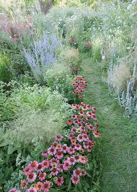 Pollinator Garden Plans, Pollinator Garden Design, Ideas Garden Design, Pollinator Plants, Lake Garden, Front Garden Landscape, Bloom Where Youre Planted, Garden Design Plans, Landscape Plan