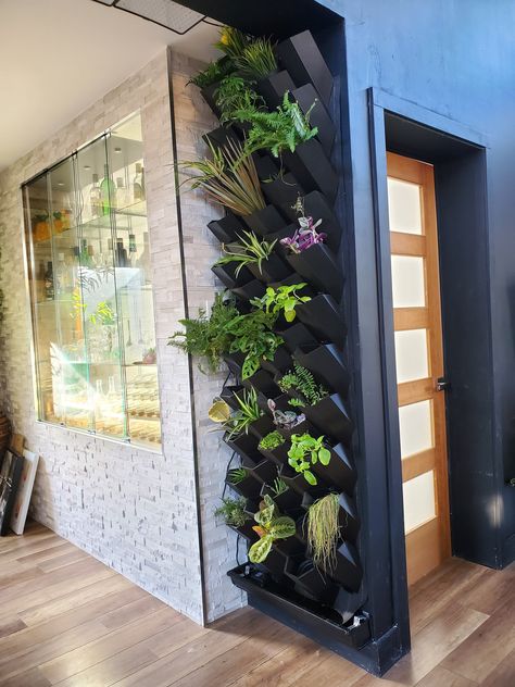 Living wall indoor diy