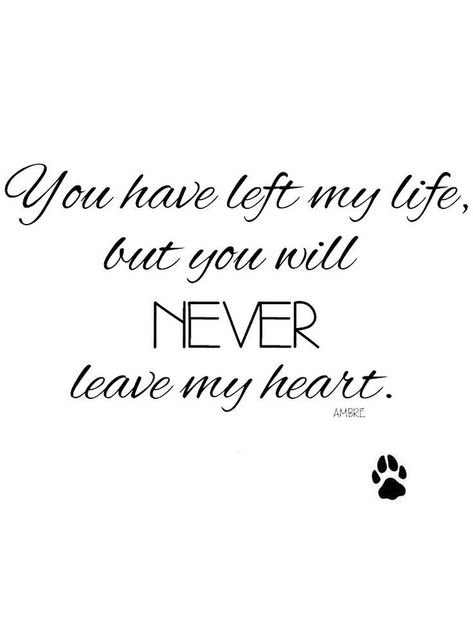 Losing A Dog Quotes, Losing A Pet Quotes, Dog Heaven Quotes, Tattoo Artist Tattoo, Dog Poems, Dog Memorial Tattoos, Timeless Tattoo, Dog Quotes Love, Artist Tattoo