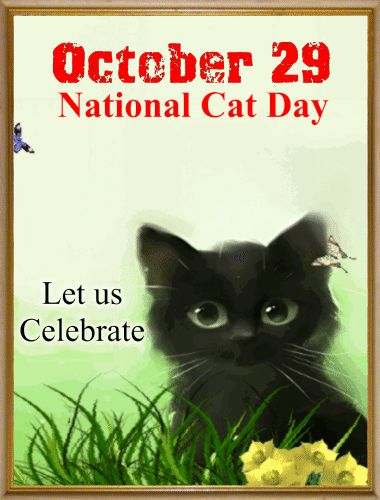 national cat day 2017 | National Cat Day Ecard. Free National Cat Day eCards, Greeting Cards | 123 Greetings Squirrel Appreciation Day, Crazy Cat People, National Cat Day, National Pet Day, National Days, Cat Holidays, Pet Day, Cute Good Morning, Pet Holiday