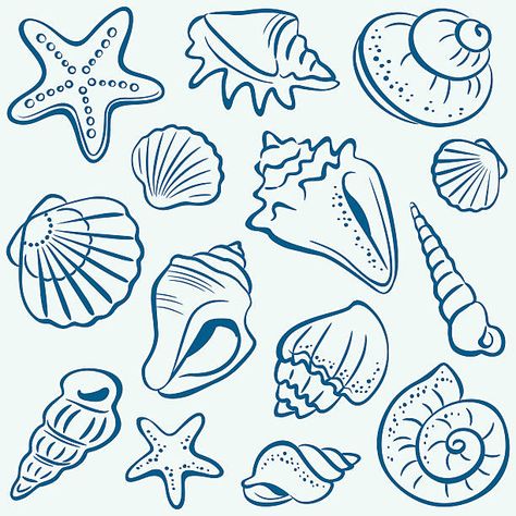 Shells Collection, Seashell Drawing, Shell Drawing, Beach Drawing, Nautical Pattern, Small Wall Art, Surf Art, Seamless Background, Pottery Painting