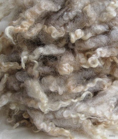 #wool  #neutrals  #texture  #color blog  #aesthetic blog Crismas Tree, Peg Loom, Sheep Farm, Spinning Yarn, Wool Art, Farm Barn, The Shepherd, Perfect World, Sheep Wool