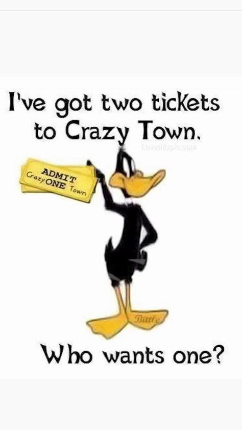 Daffy Duck Quotes, Looney Tunes Funny, Duck Quotes, Funny Day Quotes, Elmer Fudd, Funny Cartoons Jokes, Looney Tunes Cartoons, Weird Quotes Funny, Quotes Friendship