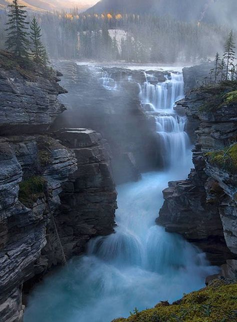 Athabasca Falls, Jasper Canada, Matka Natura, Air Terjun, Halong Bay, Beautiful Waterfalls, Alam Yang Indah, Canada Travel, Amazing Nature