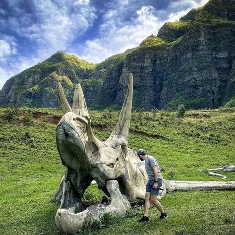 Dino Lover on Instagram: “Follow for daily content!⠀: @i.love.dinosaur . . . . Credit Via : @petelarsontrex . #JurassicWorldDominion #dinosaurday #dinosaur…” Triceratops Fossil, Love Dinosaur, Kualoa Ranch, Tag Someone Who, Jurassic World, Jurassic Park, Tag Someone, Oahu, The Valley