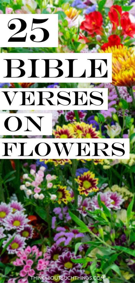 Flower Scripture Tattoo, Wildflower Lesson, Bible Garden Ideas, Scripture About Flowers, Garden Bible Verses, Flower Verses Bible, Quotes About Flowers Inspirational, Wildflower Scripture, Gods Flowers