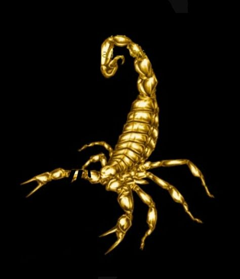 Gold Scorpion, Scorpio Art, Egypt Concept Art, Scorpio Man, The Scorpio, Bull Art, Broken Screen Wallpaper, Jelly Wallpaper, Galaxies Wallpaper