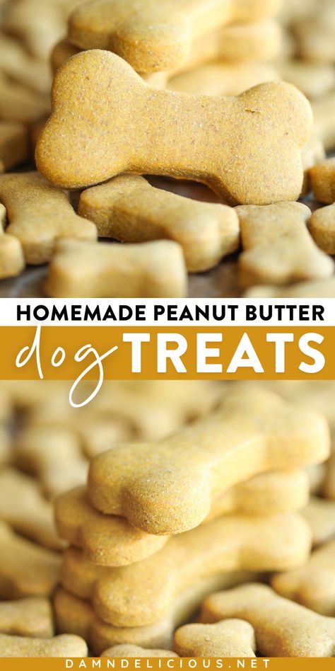 Learn how to make dog treats with peanut butter! Not only is this pet treat recipe easy peasy, but it is also so much healthier than store-bout. Your pup will love this pet treat recipe! Save this and try it! Dog Cookies Recipe Peanut Butter, Dog Treats With Peanut Butter, Diy Dog Treats Healthy, Dog Treat Recipes Easy, Dog Treats Homemade Peanut Butter, Treats With Peanut Butter, Homemade Peanut Butter Dog Treats, Make Dog Treats, Dog Cookie Recipes