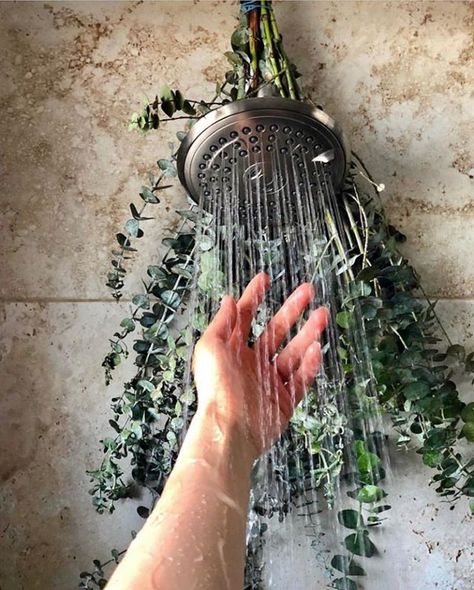 What is Eucalyptus Shower & Why is it a Popular Instagram Trend Green Spa Aesthetic, Eucalyptus Shower Head Aesthetic, Shower Relaxing, Shower Aesthetic, Relaxing Home Decor, Medicinal Oils, Water Stream, Plant Room, Allergy Remedies