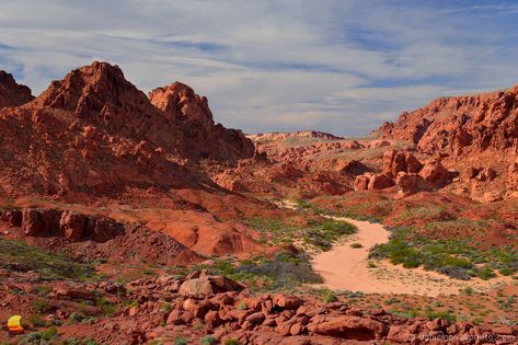 Desert Hiking, Red Desert, Dry River, Nevada Desert, Desert Southwest, Sensory Overload, Western Landscape, Speed Painting, Red Rocks