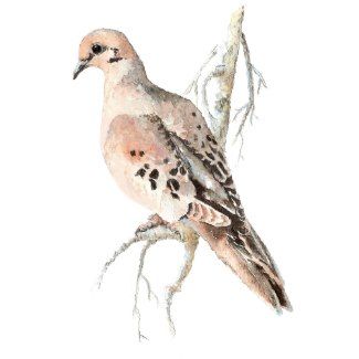 Dove Watercolor, Dove Drawing, Lounge Art, Dove Painting, Dove Tattoo, Art Alevel, Watercolor Birds, Nature Sketch, Turtle Dove