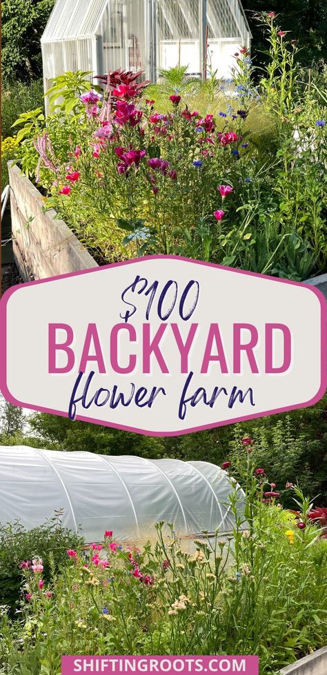 Here are the results of my frugal backyard flower farm (with a seed cost of just under $100). Over 25 cut flower varieties with reviews and photos! Flower Garden Layouts, Growing Cut Flowers, Flower Garden Plans, Cut Flower Farm, Flower Varieties, Small Backyard Design Ideas, Chicken Farming, Backyard Design Ideas, Backyard Flowers