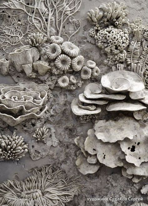 Drywall Art, Coral Sculpture, Coral Art, Ceramic Texture, Ocean Floor, Sculptures Céramiques, Tanah Liat, Kunst Inspiration, Keramik Design