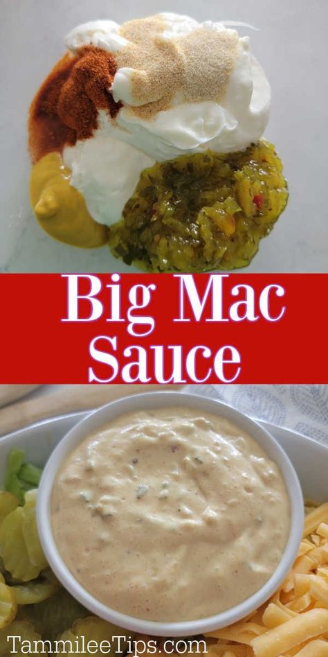 Special Sauce Recipe, Mcdonald's Big Mac, Homemade Big Mac Sauce, Hamburger Sauce, Secret Sauce Recipe, Big Mac Sauce Recipe, Mac Sauce Recipe, Burger Sauces Recipe, Homemade Big Mac