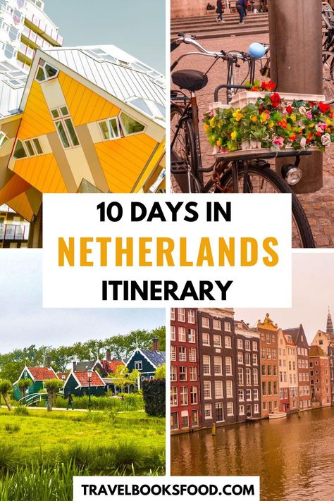 Netherlands Itinerary, Visit Amsterdam, Europe Itineraries, Netherlands Travel, Amsterdam Travel, Europe Travel Guide, Solo Female Travel, Free Things To Do, Europe Travel Tips