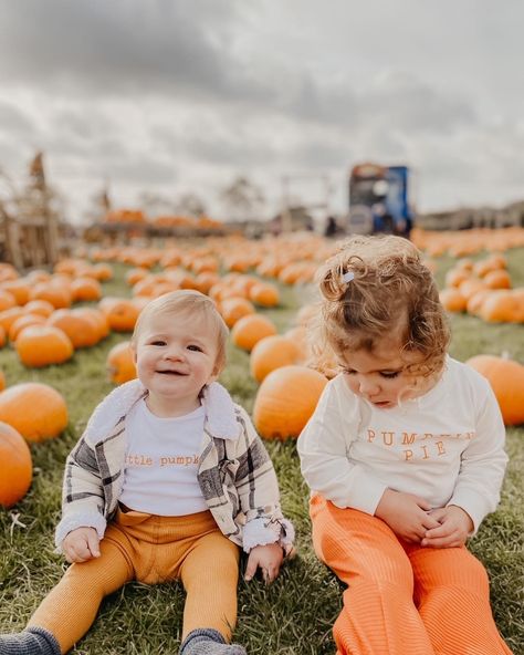 Poe Baby UK has the cutest baby and toddler pumpkin patch outfit ideas! Click the link Pumpkin Patch Matching Outfits, Toddler Pumpkin Patch Outfit, Baby Pumpkin Patch Outfit, Baby Pumpkin Patch, Pumpkin Patch Outfit Ideas, Matching Outfits Family, Pumpkin Onesie, Baby Pumpkin, Patch Outfit