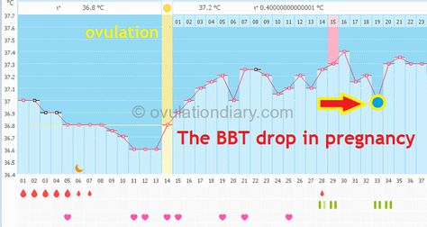 During pregnancy, a one-day drop in BBT rarely occurs (indicators are restored the next day) Basal Body Temperature Chart, Bbt Chart, Basal Body Temperature, Temperature Chart, Progesterone Levels, Lower Abdomen, First Trimester, Hormone Imbalance, A Day In Life