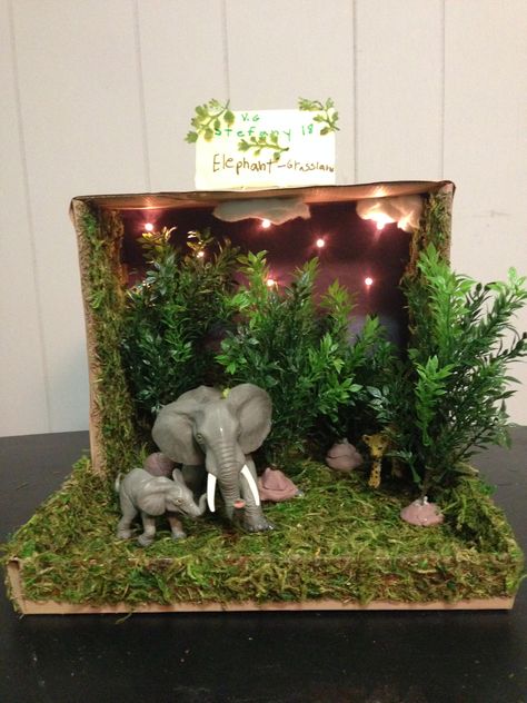 Elephant grassland habitat shoe box project Grassland Diorama School Projects, Shoe Box Biome School Projects, Elephant Diaroma, Elephant Habitat Project, Diorama Ideas For Kids School Projects Shoe Box Animal Habitats, Shoe Box Rainforest Project, Grassland Habitat Diorama, Elephant Habitat Project For Kids, Elephant Diorama Project