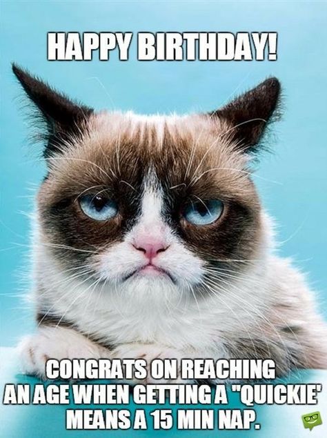 Happy Birthday! Congrats on reaching an age when getting a "quickie" means a 15 min nap. Sarcastic Birthday Wishes, Grumpy Cat Quotes, Funny Wishes, Spanish Translation, Cat Humor, Grumpy Cat Humor, Cat Quotes Funny, Cat Meme, Cat Quotes