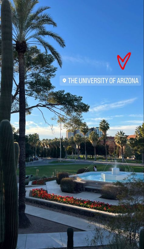 Uofa Wildcats Arizona, Asu College Aesthetic, University Of Arizona Aesthetic, Asu Aesthetic, U Of Arizona, University Of Arizona Tucson, University Of Arizona Campus, Arizona Aesthetic, Arizona University