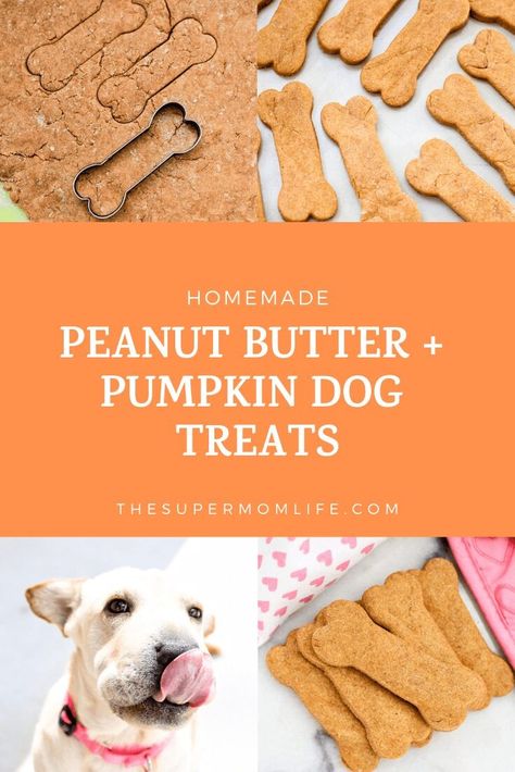 Homemade Peanut Butter and Pumpkin Dog Treats - The Super Mom Life Dog Treats Pumpkin, Pig Treats, Dog Cookie Recipes, Homemade Dog Cookies, Dog Treats Homemade Easy, Easy Dog Treat Recipes, Dog Treat Recipe, Doggy Treats, Dog Biscuit Recipes