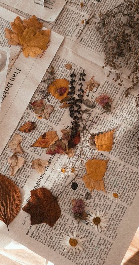 @staygolden31 and I pressed flowers and leaves together 💫 Pressed Flowers Aesthetic, Aesthetic Cottagecore, Book Press, Aesthetic Letters, Pressed Leaves, Instagram Background, Flower Letters, Happy Fall Y'all, Autumn Aesthetic